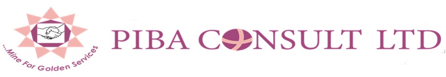 piba-consult-logo